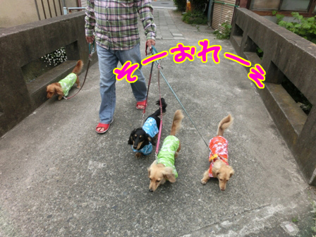 003_2014042921254712c.jpg