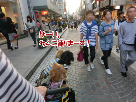 20150927066.jpg