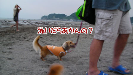 006_20110803004043.jpg