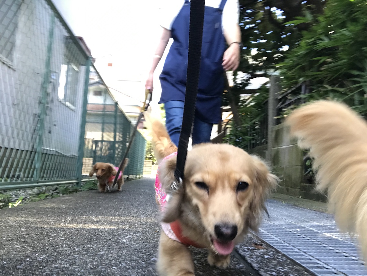 自撮り棒で撮ったら大迫力 メルロコ一家の横須賀ストーリー Powered By ライブドアブログ 自撮り棒で撮ったら大迫力 メルロコ一家の横須賀ストーリー Powered By ライブドアブログ