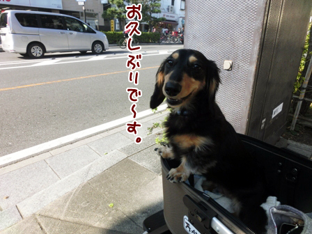 005_20141019233332c71.jpg