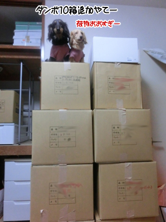 201606208.jpg