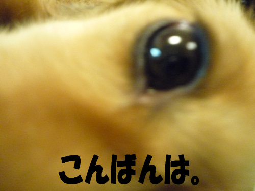 d46db4bd.jpg
