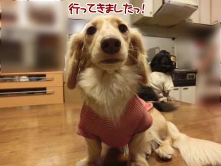 20151028038.jpg