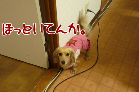 006_20110224221702.jpg