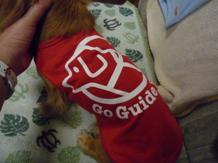 001_20110621230430.jpg