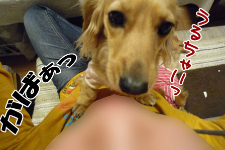 004_20120419215947.jpg