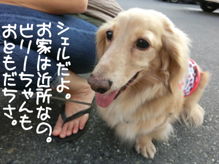 201609240405.jpg