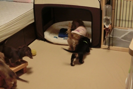 006_20130826235456761.jpg