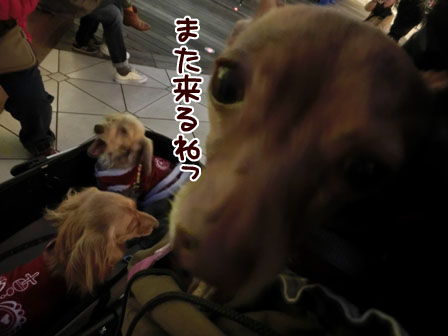 025_201312142343565dd.jpg