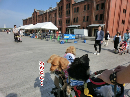 2016051506.jpg
