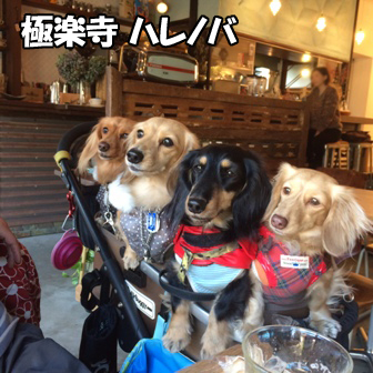 201601124.jpg