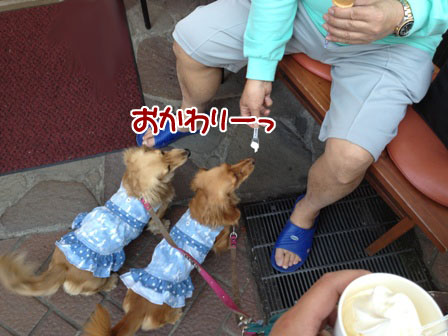 IMG_0791.jpg