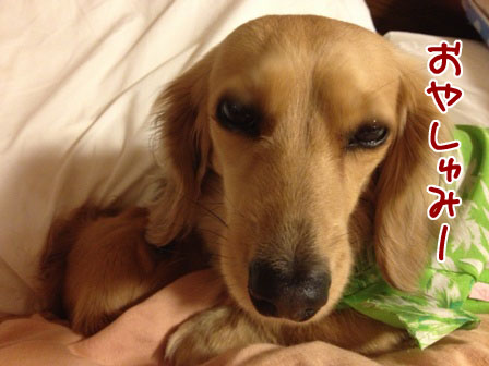 IMG_2185_20130406020749.jpg