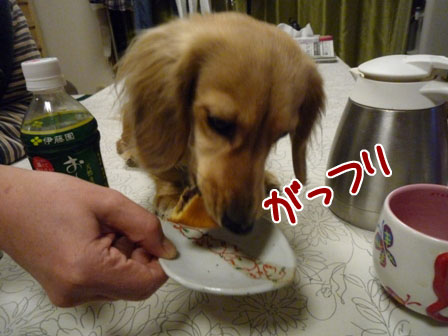 008_20120227213802.jpg