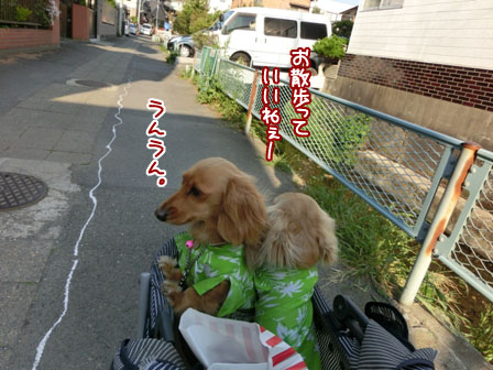 034_20130505225655.jpg