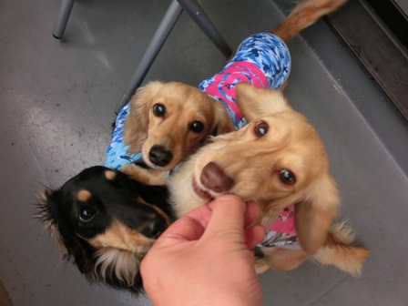 027_201505212159157bd.jpg