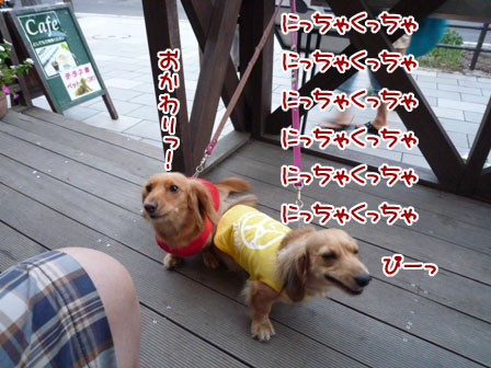 001_20110825225533.jpg