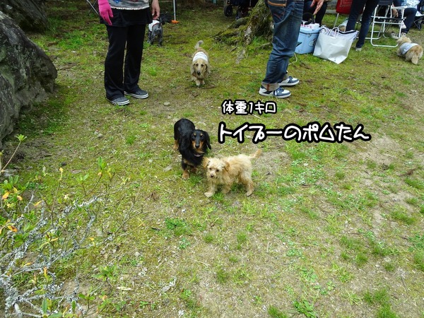 m-20190421BBQ-7