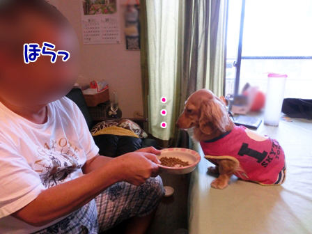 002_20140930224453c12.jpg