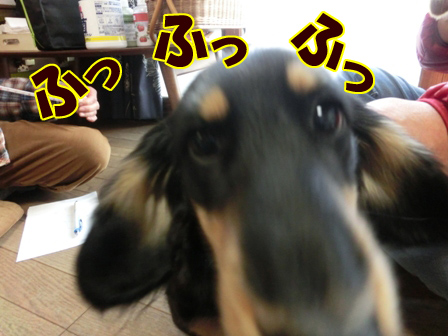016_20140128233526f9b.jpg