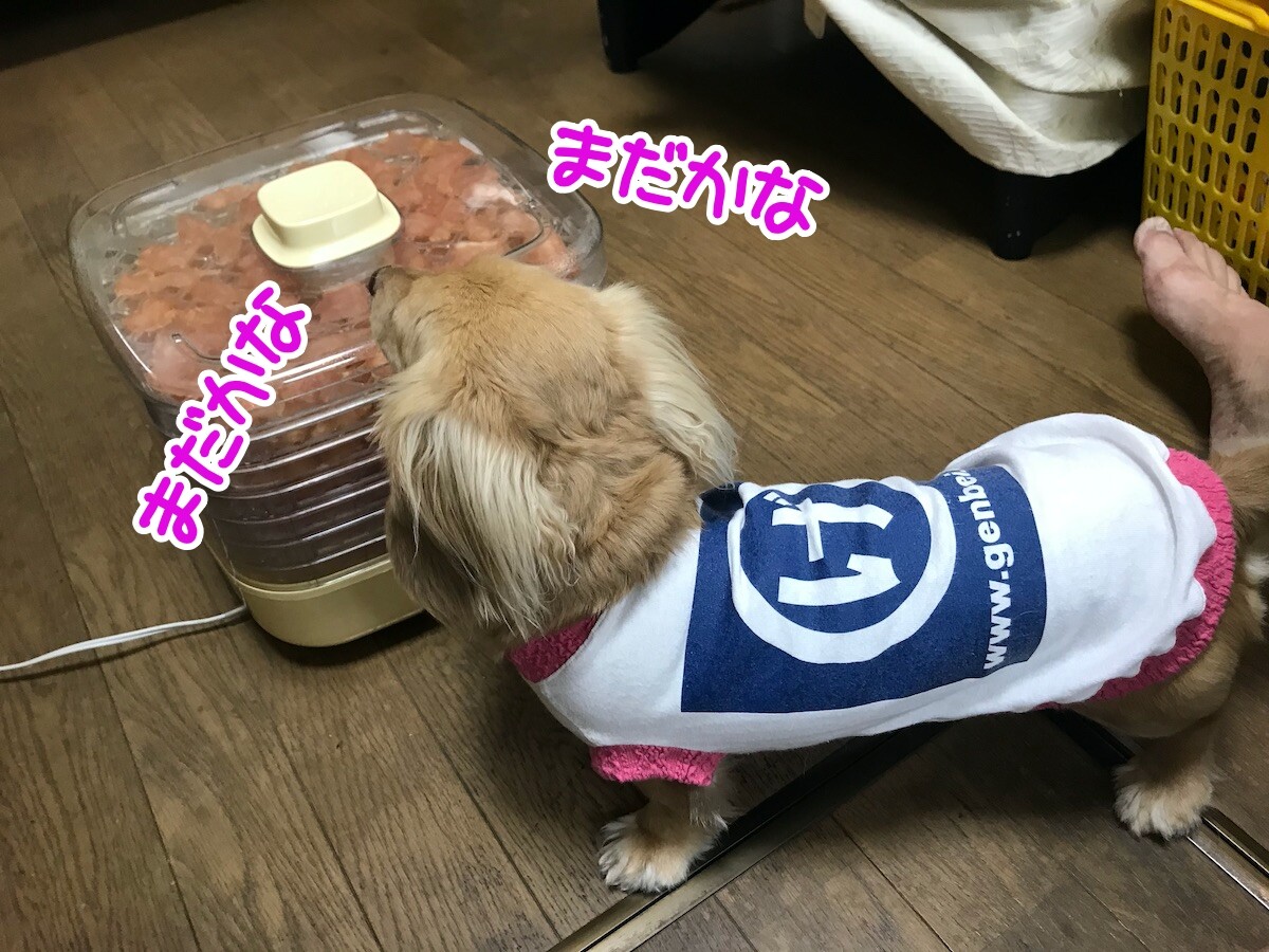 鉄壁の守り メルロコ一家の横須賀ストーリー Powered By ライブドアブログ 鉄壁の守り メルロコ一家の横須賀ストーリー Powered By ライブドアブログ