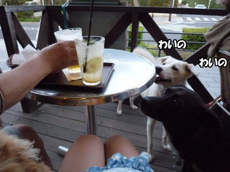 009_20120514225227.jpg