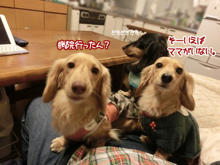 201601312.jpg