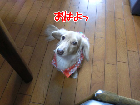 2015100914.jpg