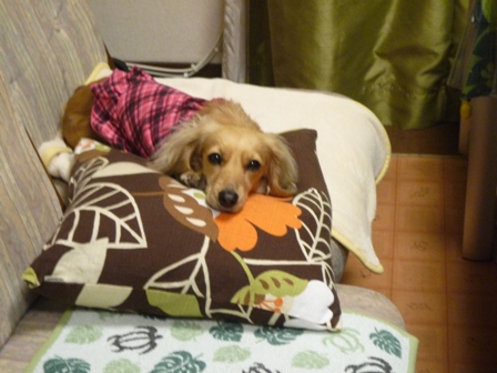 008_20110429221520.jpg