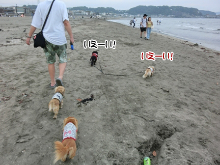 201605303.jpg