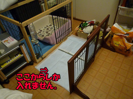 P1010673.jpg