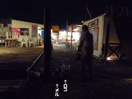 005_20110726225133.jpg