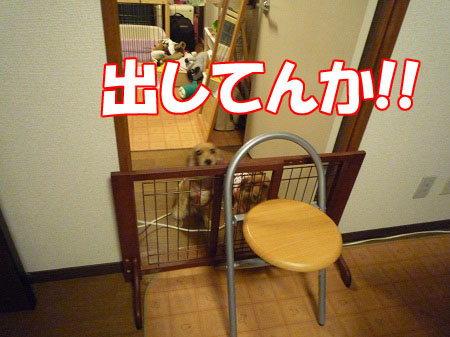 P1010843.jpg
