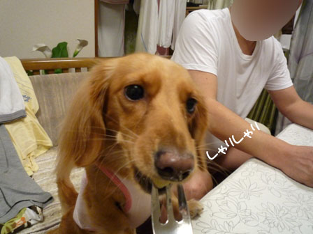 035_20111119232012.jpg
