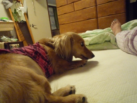 017_20110704130217.jpg