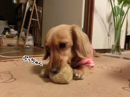 009_20130502215919.jpg