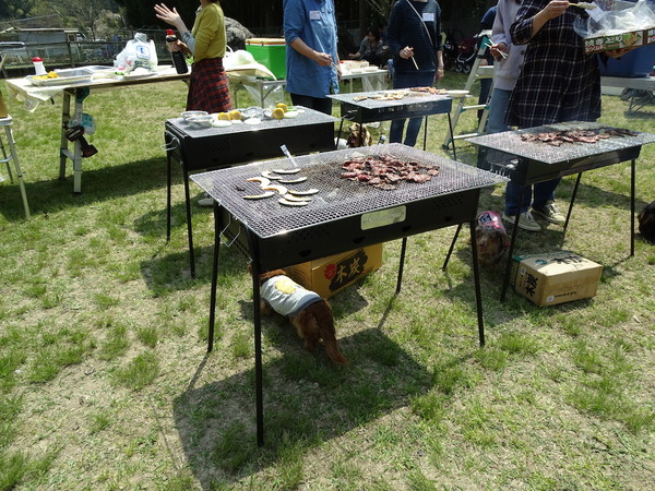 m-20190421BBQ-10