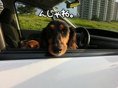 20151011047.jpg