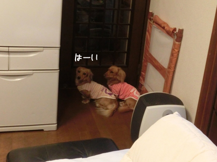 026_2014120823391113a.jpg