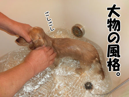 010_201311102201366d6.jpg