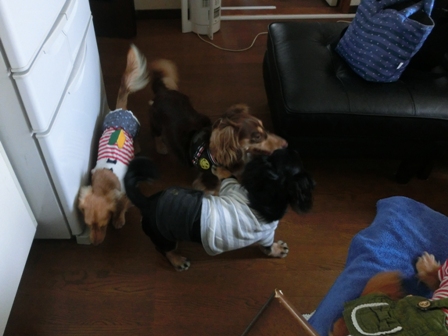 001_2014091023405052f.jpg