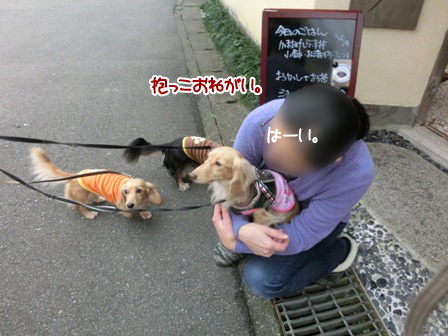 201512155.jpg