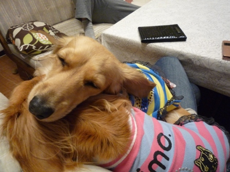 030_20111123232630.jpg