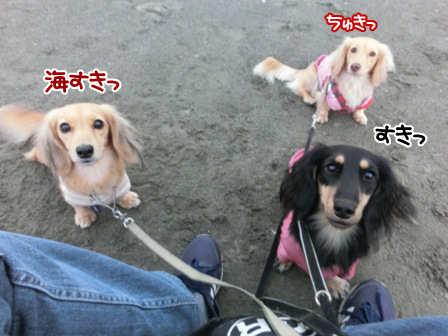 201511273.jpg