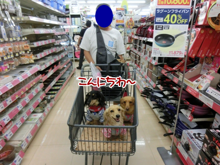 20160623.jpg