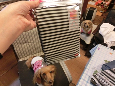 005_20130105004133.jpg