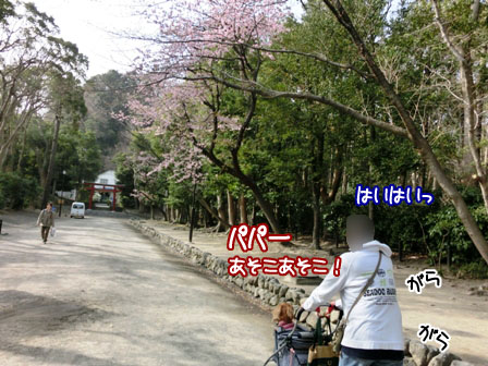 006_20130318230449.jpg