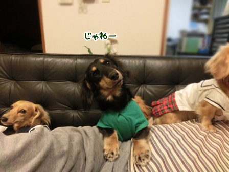 014_20141101235404b0e.jpg