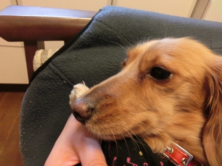 005_201312070004388e1.jpg